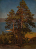 Pins - August Cappelen — vista dell’opera