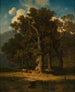 Paesaggio boschivo - August Maximilian Zimmermann — vista dell’opera