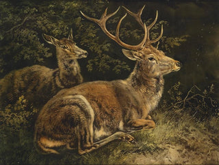 August Schleich - Rotwild.webp
