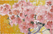 Azalées in fiore - Augusto Giacometti — vista dell’opera