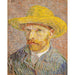 Riproduzione del dipinto Autoritratto con cappello di paglia - Vincent van Gogh