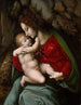 Vergine con Bambino - Bacchiacca — vista dell’opera