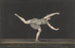 Danseuse Annette Kübler du Pas de Zéphyr eseguendo - Bartholomeus Ziesenis — vista dell’opera