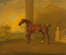 Roan Hack - Benjamin Marshall — vista dell’opera
