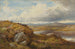 Tra le colline gallesi - Benjamin Williams Leader — vista dell’opera