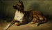 Ritratto di un cane - Benno Adam — vista dell’opera