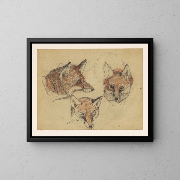 Tre teste di volpe - Bernard Willem Wierink — quadro incorniciato alla parete