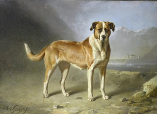 Bernard te Gempt - St Bernard Dog.webp