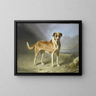 Bernard te Gempt - St Bernard Dog.webp