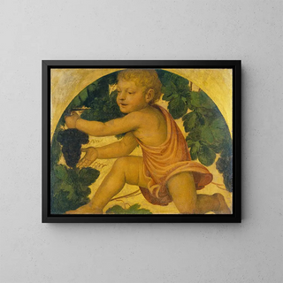 Bernardino Luini - Putto picking Grapes.webp