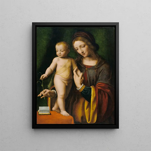 La Vierge à l'Enfant avec une Colombine - Bernardino Luini — quadro incorniciato alla parete