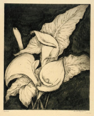 Bertha Jaques - Callas.webp