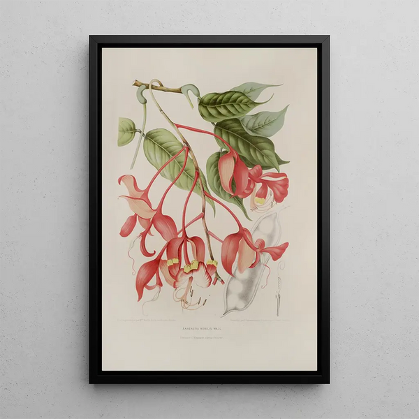 Riproduzione del dipinto Fiori, frutta e fogliame scelti dall'isola di Giava Pl02 - Berthe Hoola van Nooten