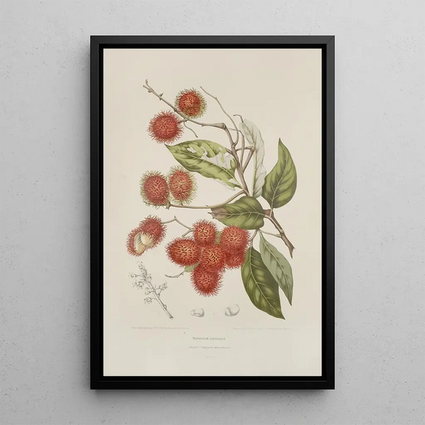 Riproduzione del dipinto Fiori, frutta e fogliame scelti dall'isola di Giava Pl07 - Berthe Hoola van Nooten