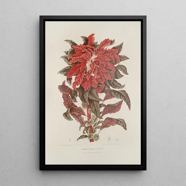 Riproduzione del dipinto Fiori, frutta e fogliame scelti dall'isola di Giava Pl13 - Berthe Hoola van Nooten