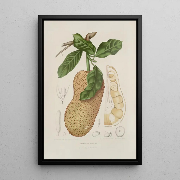 Riproduzione del dipinto Fiori, frutta e fogliame scelti dall'isola di Giava Pl26 - Berthe Hoola van Nooten