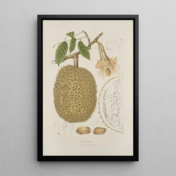 Riproduzione del dipinto Fiori, frutta e fogliame scelti dall'isola di Giava Pl28 - Berthe Hoola van Nooten