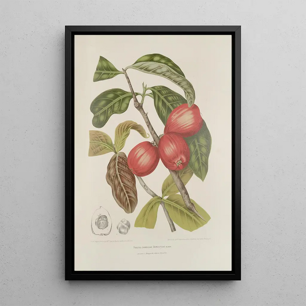 Riproduzione del dipinto Fiori, frutta e fogliame scelti dall'isola di Giava Pl30 - Berthe Hoola van Nooten