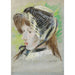 Riproduzione del dipinto Jeanne Pontillon, La Capeline - Berthe Morisot