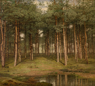 Bois de sapin à Putte - Jean-Pierre François Lamorinère
