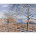 Riproduzione del dipinto Bordi del Loing, effetto autunnale - Alfred Sisley