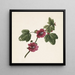 Ramo con fiori viola - M di Gijselaar — quadro incorniciato alla parete