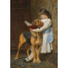 Istruzioni obbligatorie - Briton Rivière — vista dell’opera