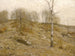 Hauts de décembre - Bruce Crane — vista dell’opera