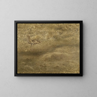 Bruno Liljefors - Eurasian Curlew.webp