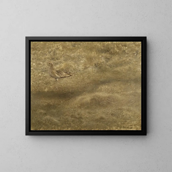 Courlis cendré - Bruno Liljefors — quadro incorniciato alla parete