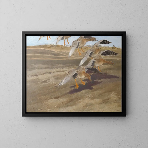 Oche selvatiche - Bruno Liljefors — quadro incorniciato alla parete