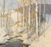 Calma d'inverno - Frederick John Mulhaupt — vista dell’opera