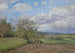 Paesaggio con una mucca - Camille Pissarro — vista dell’opera