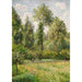 Pioppi a Éragny - Camille Pissarro — vista dell’opera