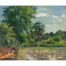 Riproduzione del dipinto Anatre sul laghetto di Montfoucault - Camille Pissarro