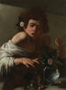 Ragazzo morso da una lucertola - Caravaggio — vista dell’opera