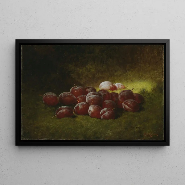 Carducius Plantagenet Ream - Purple Plums.webp