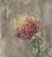 Chrysanthème rosso - Carel Adolph Lion Cachet — vista dell’opera