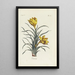 Riproduzione del dipinto Crocus - Carington Bowles