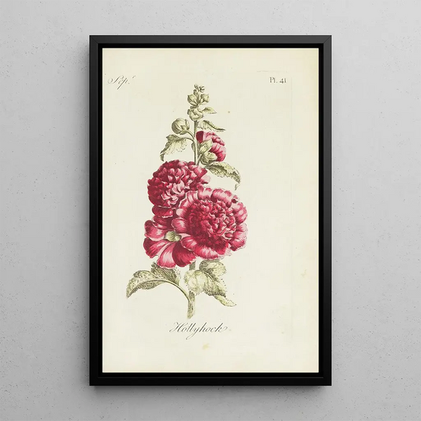 di Malva - Carington Bowles — quadro incorniciato alla parete