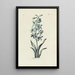 Riproduzione del dipinto Jacinthe - Carington Bowles