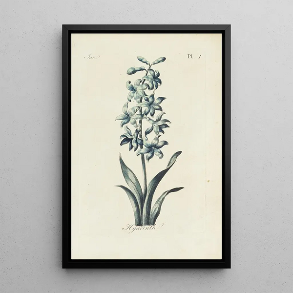 Riproduzione del dipinto Jacinthe - Carington Bowles