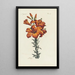 Lys - Carington Bowles — quadro incorniciato alla parete