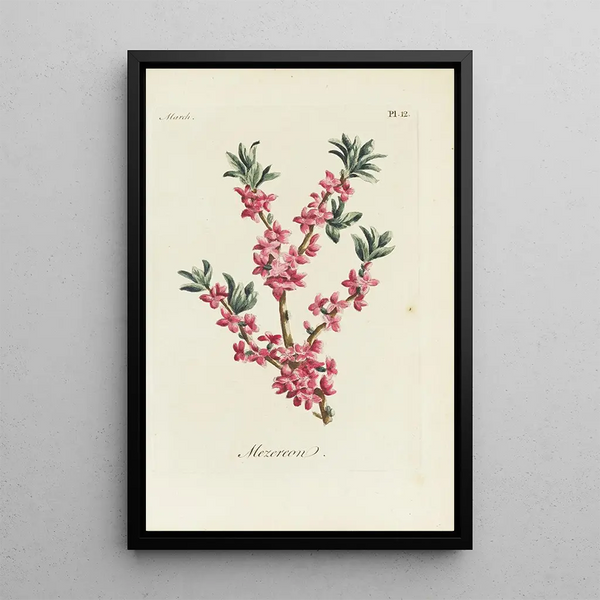 Bois-joli - Carington Bowles — quadro incorniciato alla parete