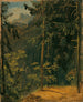 Sentiero nel bosco nel Harz - Carl Blechen — vista dell’opera
