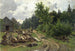 Place de stockage de bois - Carl Bolze — vista dell’opera