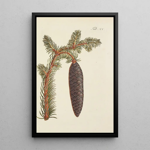 Illustrazione degli alberi selvatici, delle piante perenni e degli arbusti Pl015 - Carl Christoph Oelhafen von Schöllenbach — quadro incorniciato alla parete