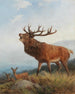 Un cervo che brama - Carl Friedrich Deiker — vista dell’opera