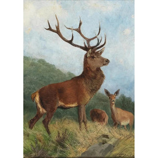 Carl Friedrich Deiker - A Dominant Stag.webp