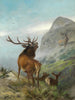 Röhrender Rothirsch - Carl Friedrich Deiker — vista dell’opera